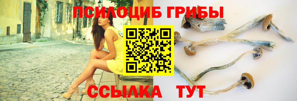 Галлюциногенные грибы ЛСД Рузаевка